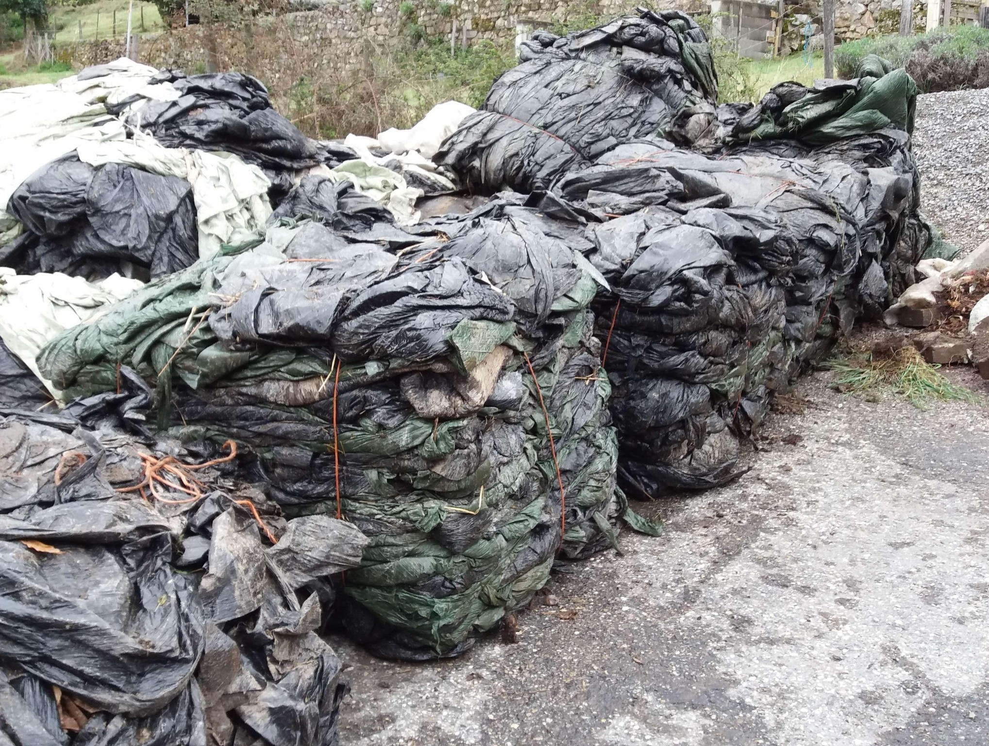 La collecte des déchets plastiques d’élevage est reportée