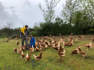 Parents agriculteurs à l'heure du Covid – 19 : une équation difficle !