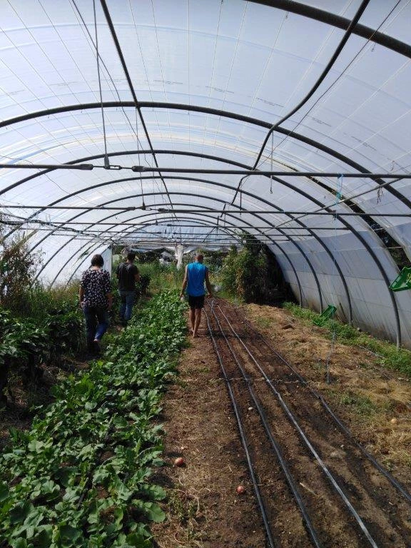 La création d'un jardin d'insertion à Aubenas