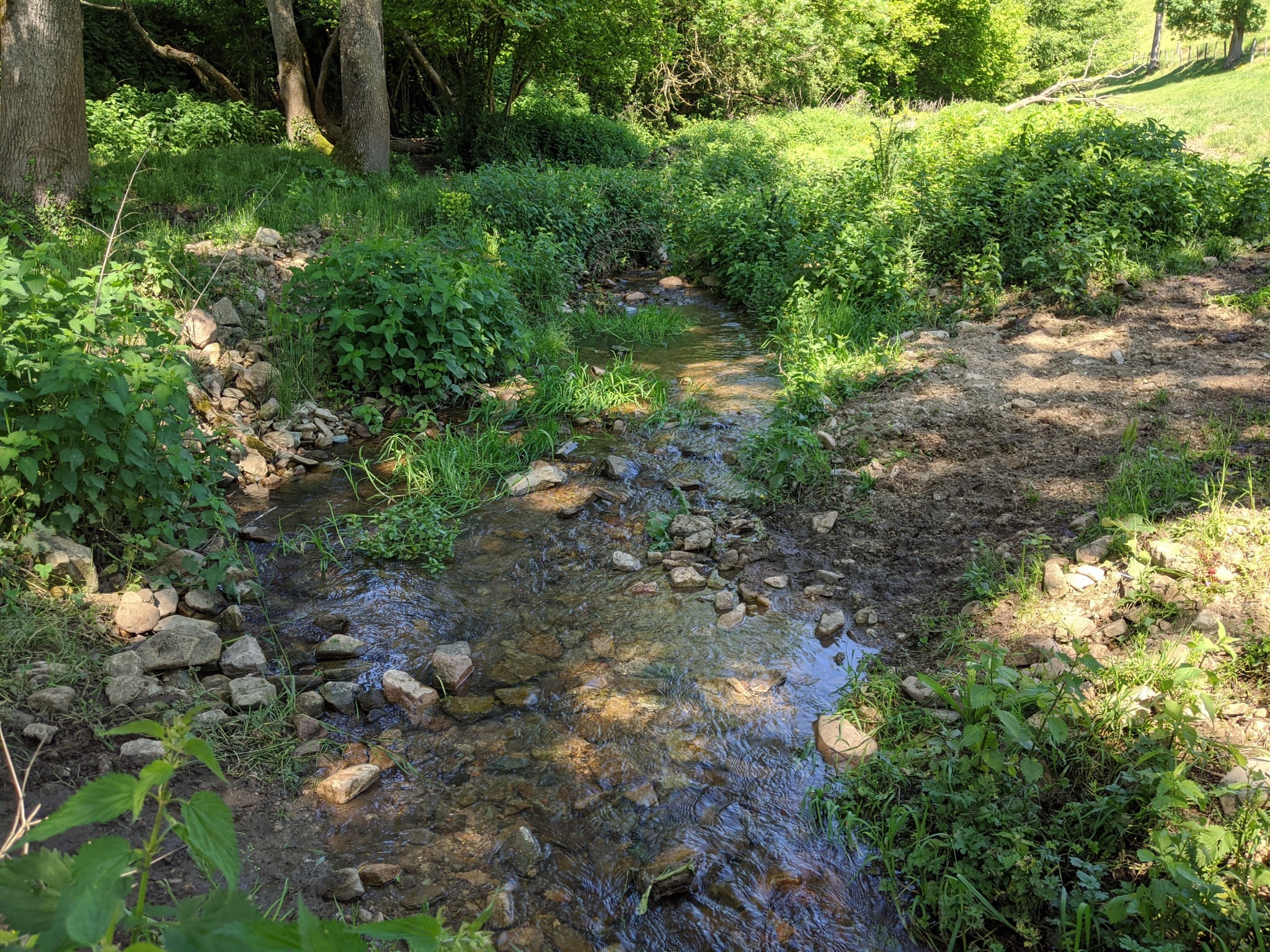 Gestion des eaux : la profession agricole rejette le projet de Sdage 2022-2027