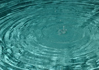 L'enjeu de l'eau en élevage