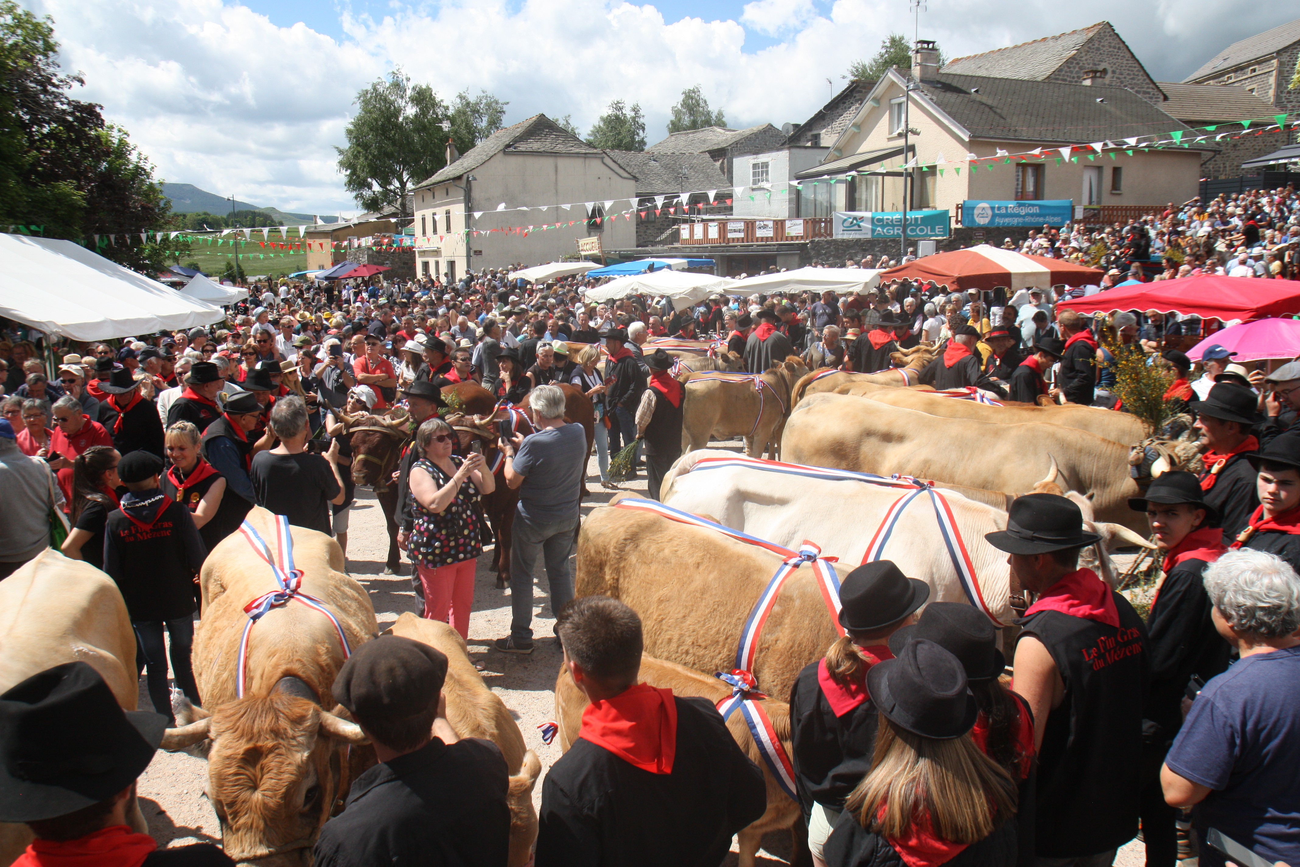 Belle affluence autour du Fin Gras du Mézenc