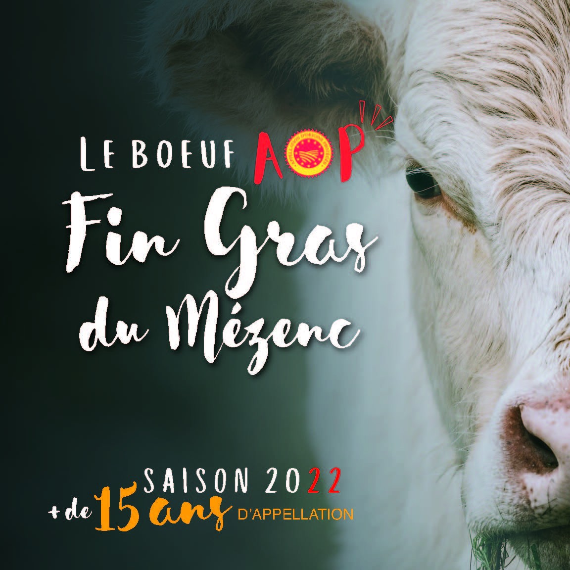 La saison du Fin Gras du Mézenc est lancée !