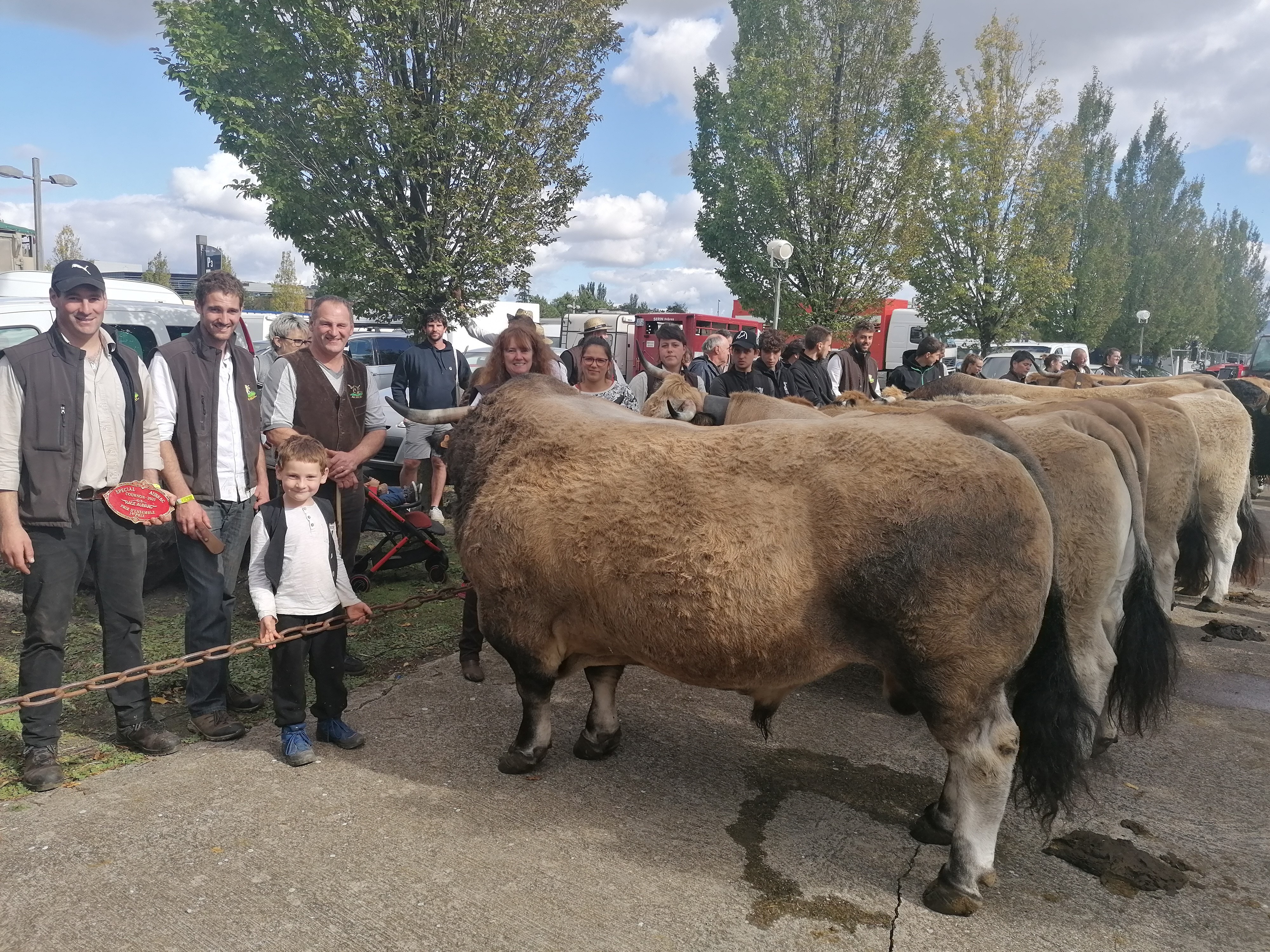 Concours national Aubrac : les résultats des éleveurs ardéchois