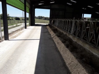 Profiter de la lumière naturelle en ouvrant le bâtiment sur les côtés