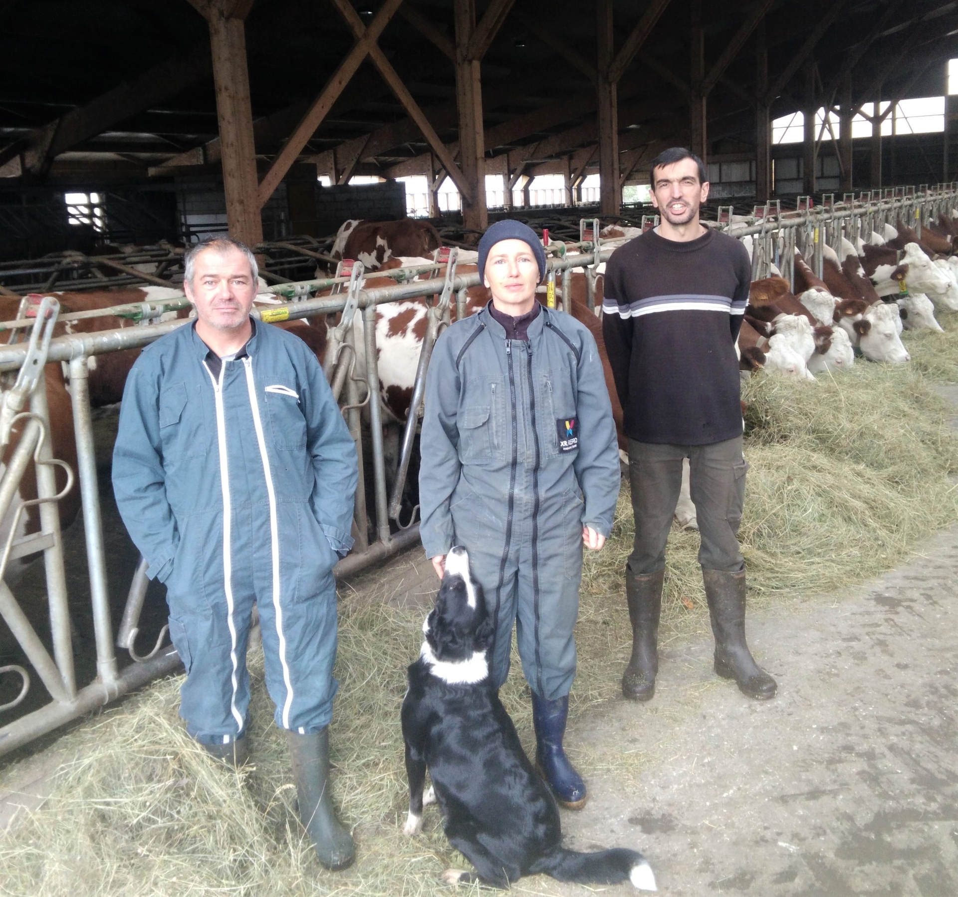 Le Gaec d’Esperveyres, un élevage bovin tourné vers l’avenir