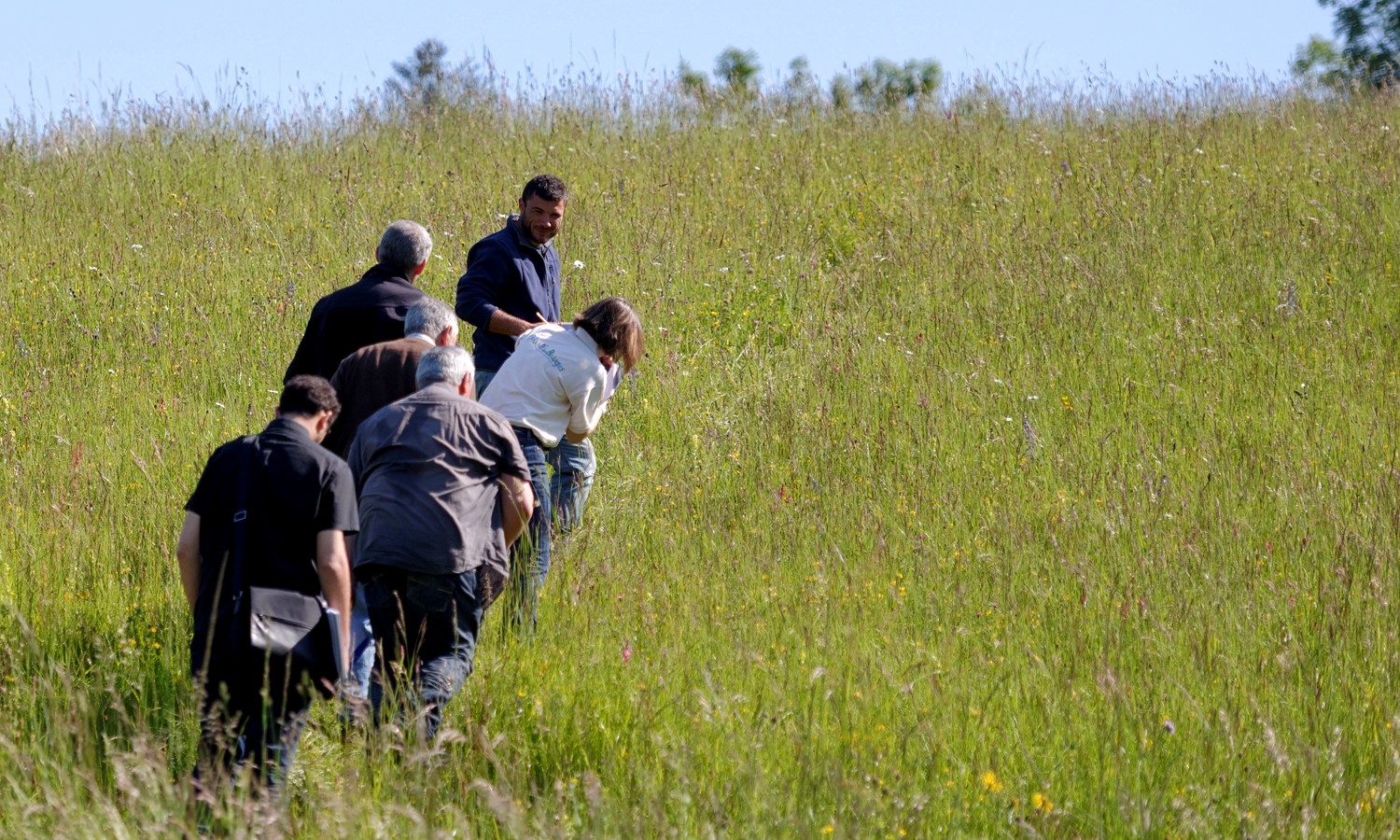 Performance et biodiversité, même combat