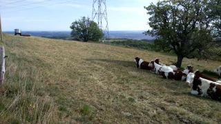 La FDSEA et JA créent l’association « Les agriculteurs solidaires » 