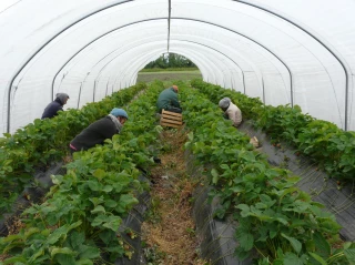 Recruter et former plus facilement avec Défi Emploi