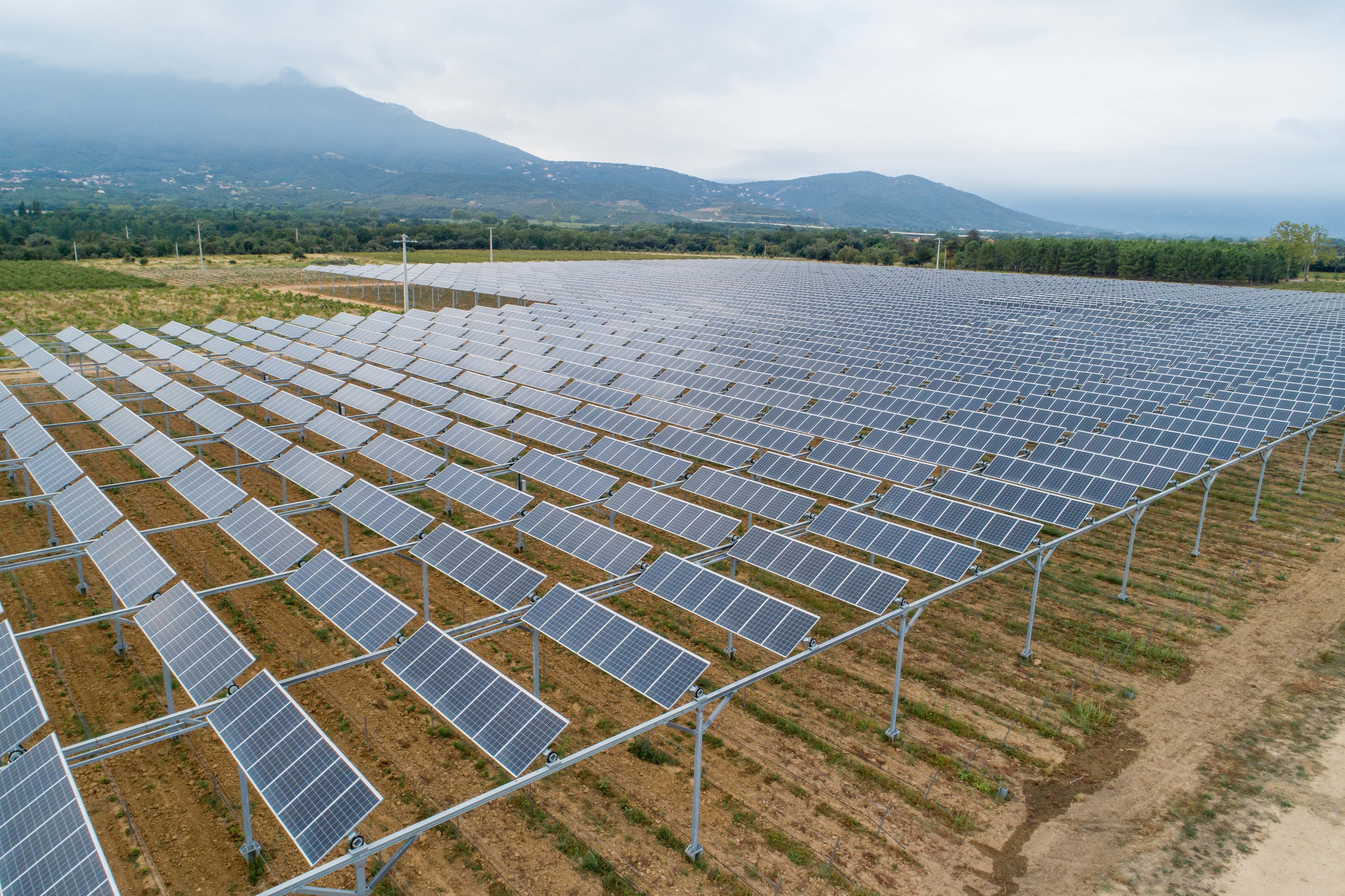 L’agrivoltaïsme, au profit des énergies… et de l’agriculture !