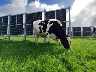 Haies solaires : quels sont leurs impacts ?