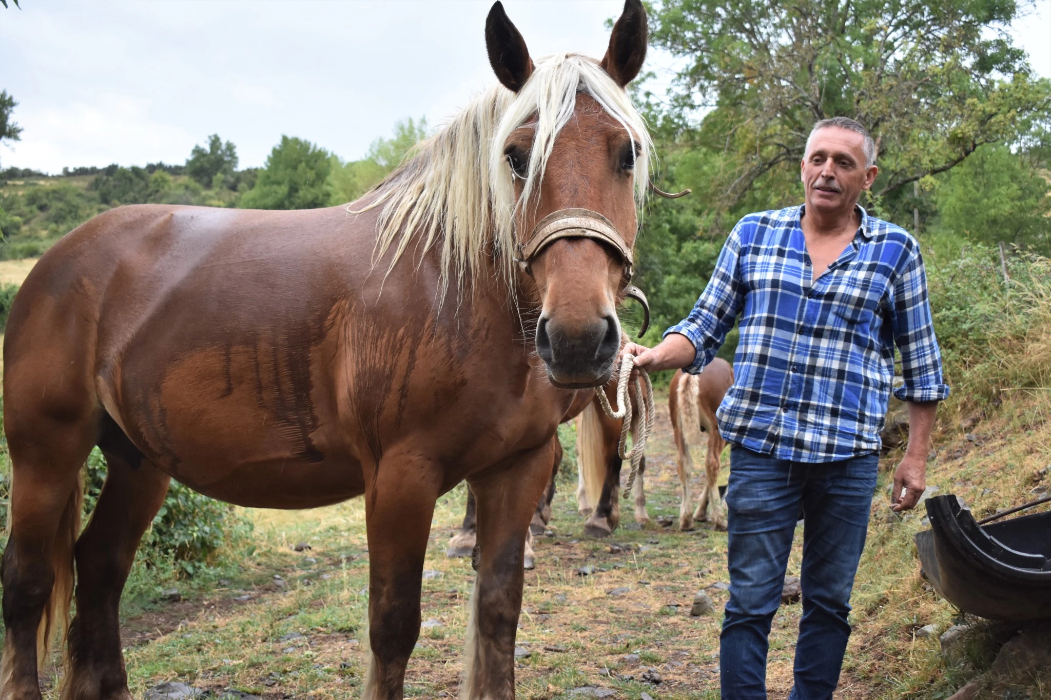 Denis Dumas, « Les chevaux sont mon moyen d’évasion »