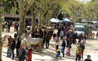 Retour de la Foire aux chevaux de Labégude !