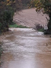 Inondations : des dégats pour le secteur agricole