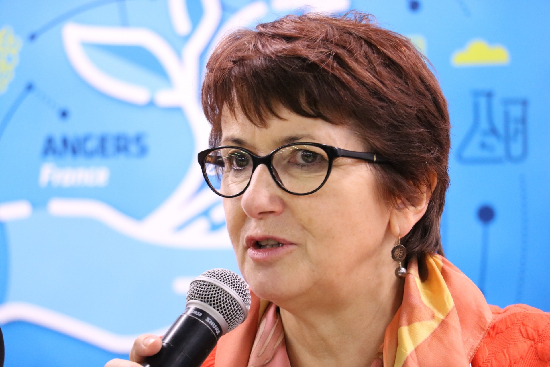 Christiane Lambert ne briguera pas de nouveau mandat à la tête de la FNSEA 