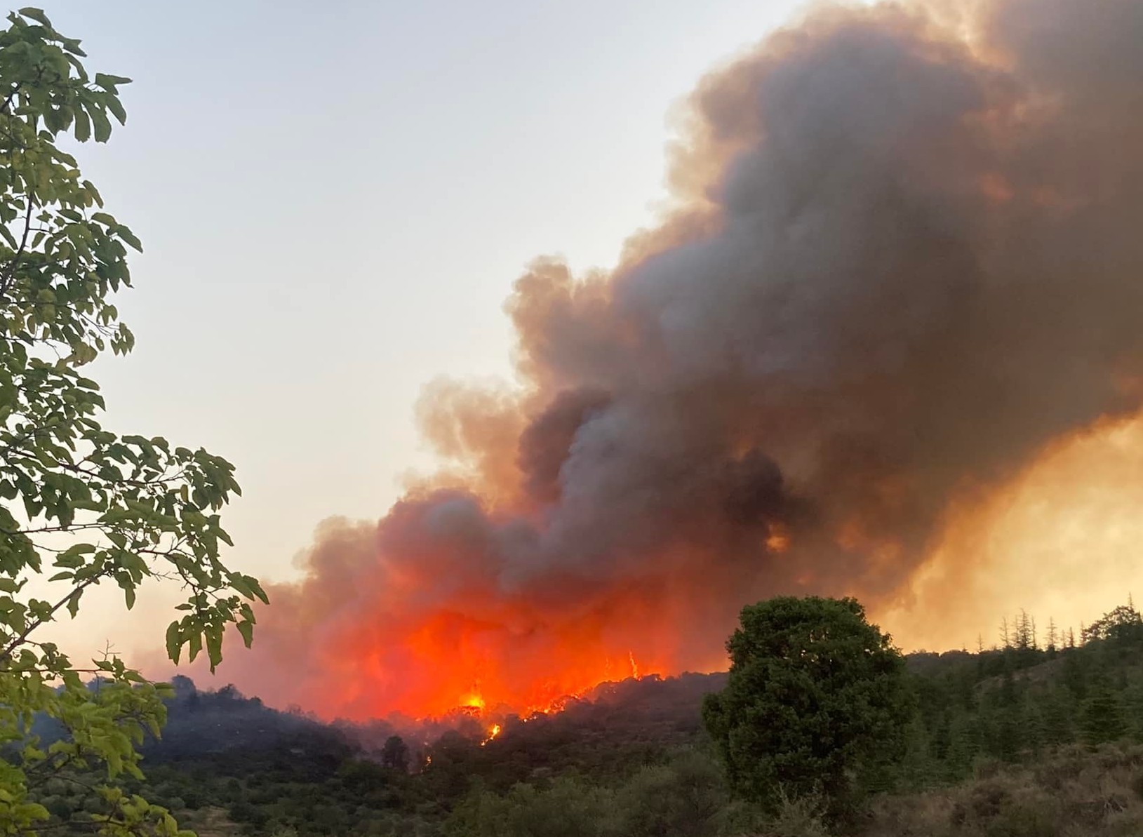 Lagorce : 320 ha emportés par le feu