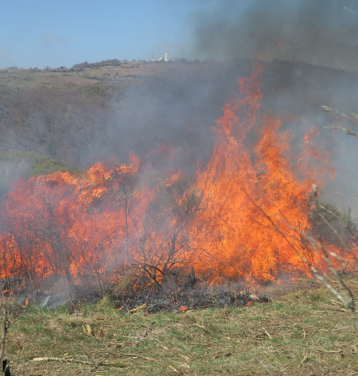 Utilisation du feu