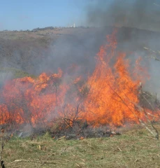 Utilisation du feu
