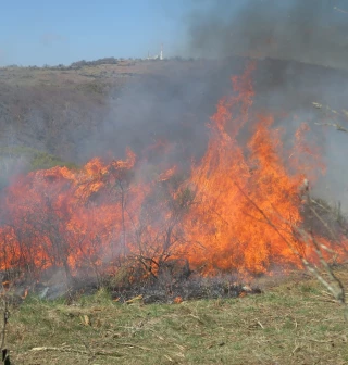 Utilisation du feu