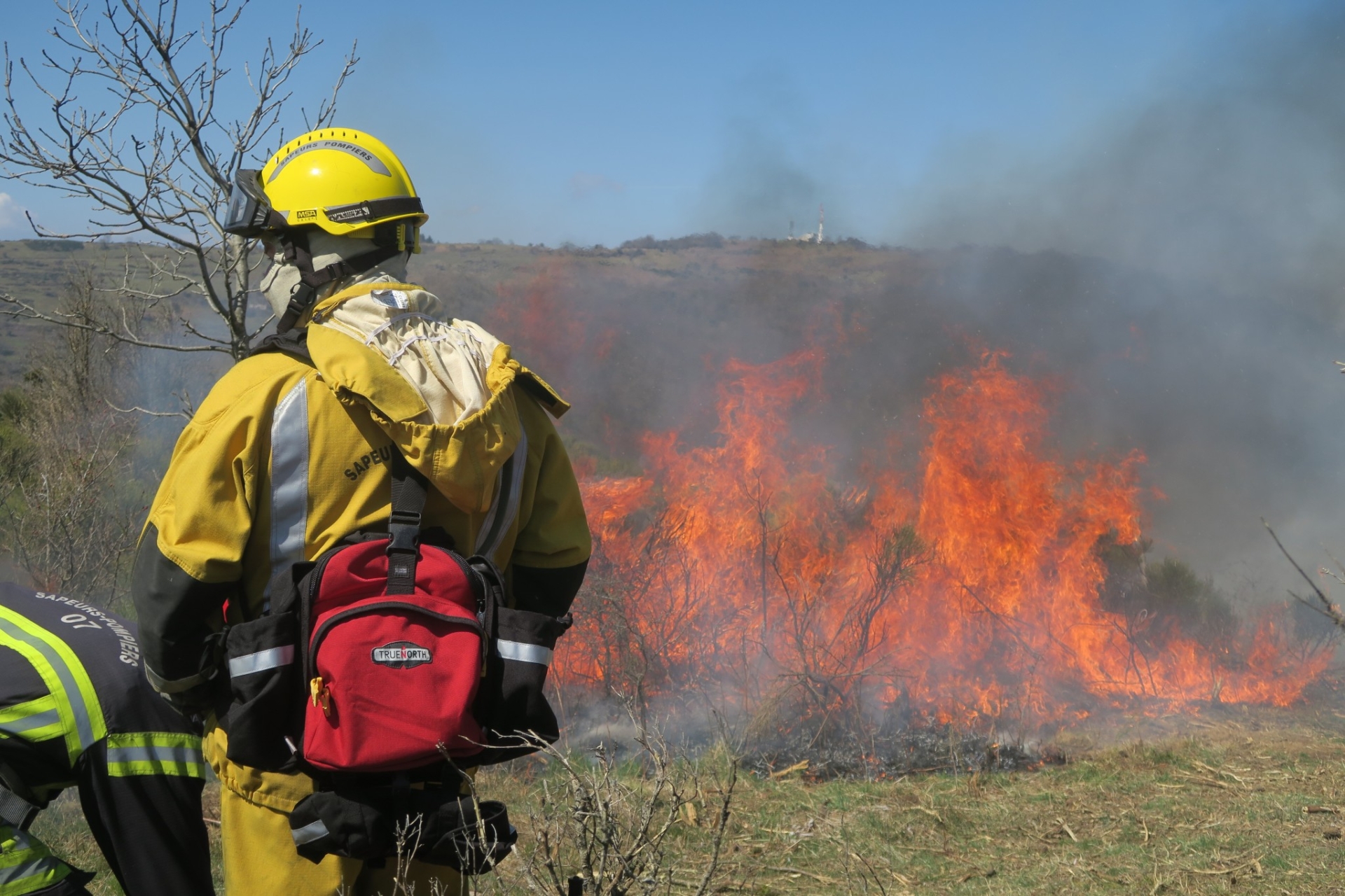 Incendies : 1200 ha sont partis en fumée