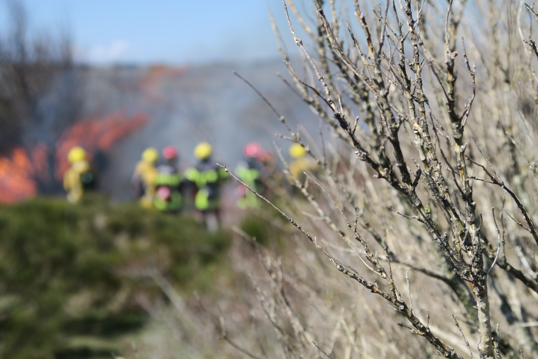 90 ha partis en fumée dans la Vallée de l'Ibie