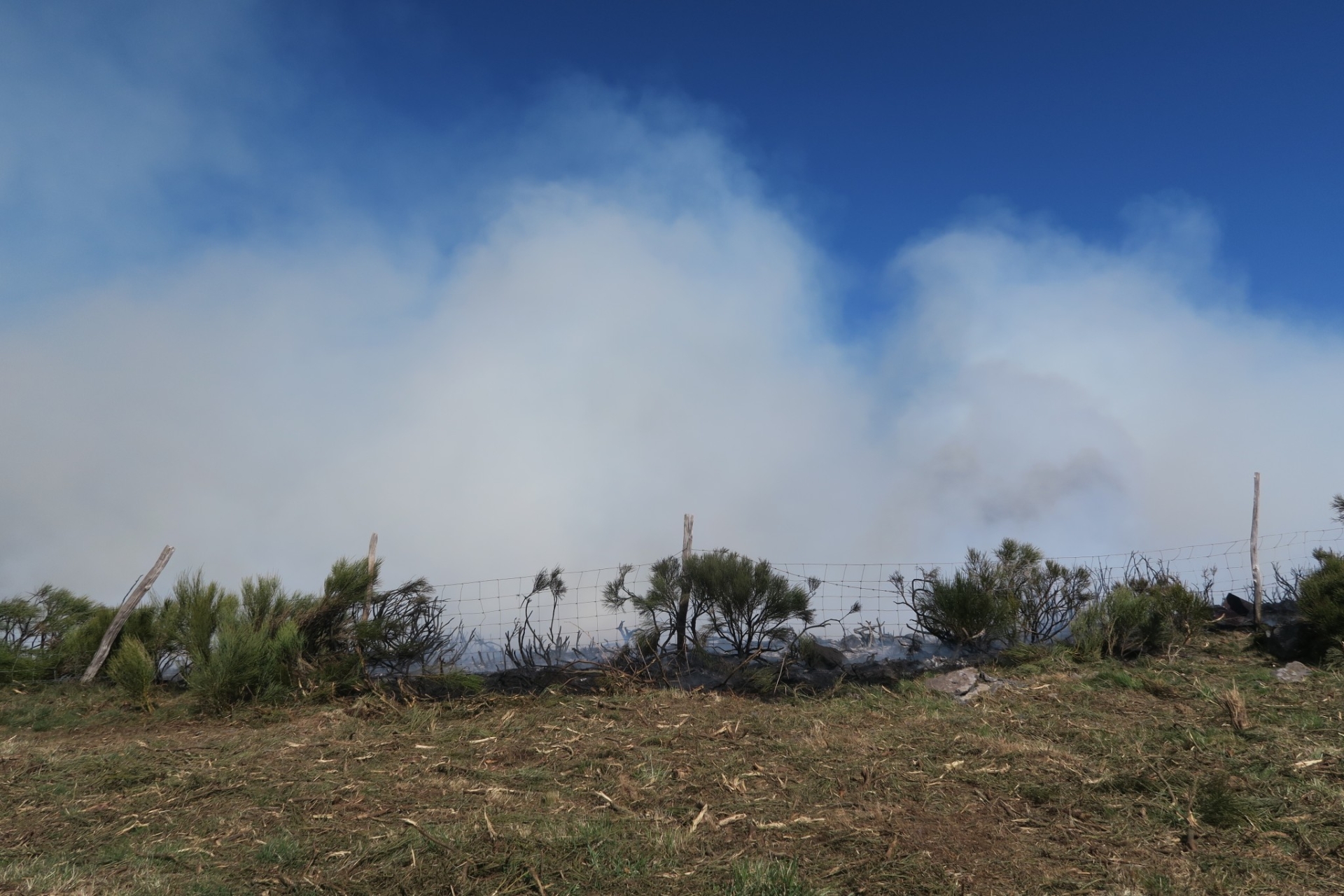 70 ha de végétation détruits par un incendie