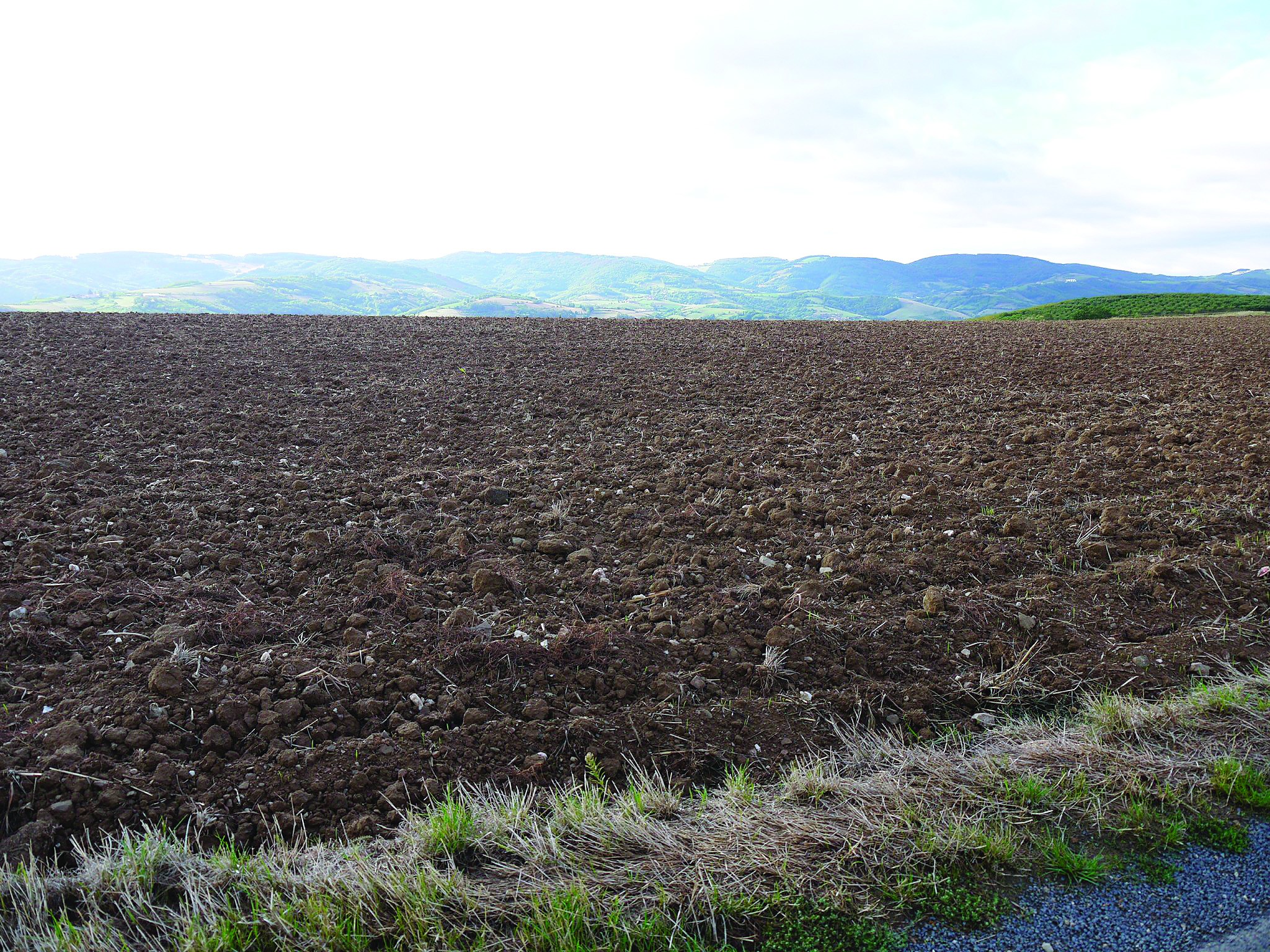 Taxe foncière et bail rural