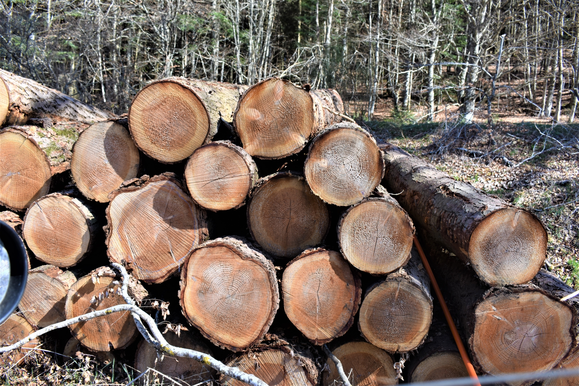 Un quiz pour les professionnels du bois de chauffage