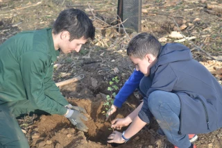 10 000 arbres plantés en Ardèche