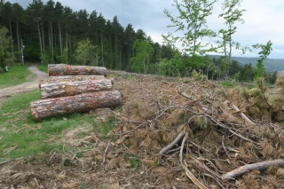 Comment mieux gérer ses parcelles ?