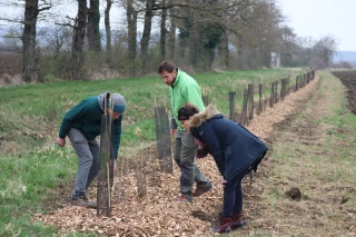 Des haies pour changer le paysage
