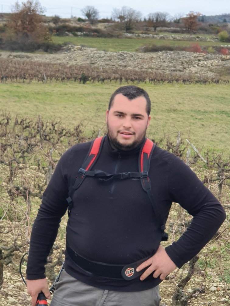 Concours de taille de la vigne, à vos sécateurs  ! 