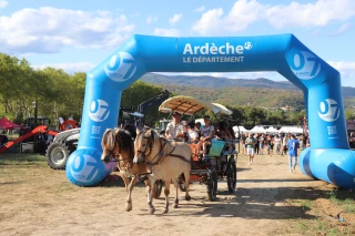 Carton plein pour la fête de l'agriculture