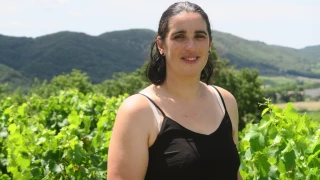 La vigne, une histoire de famille