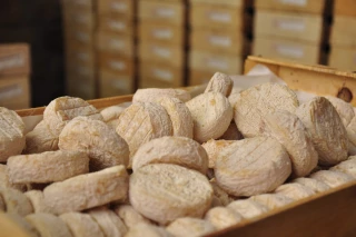 Covid – 19 : Les laiteries ardéchoises dressent le bilan