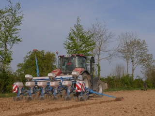 Les dix points clés pour réussir ses semis au monograine