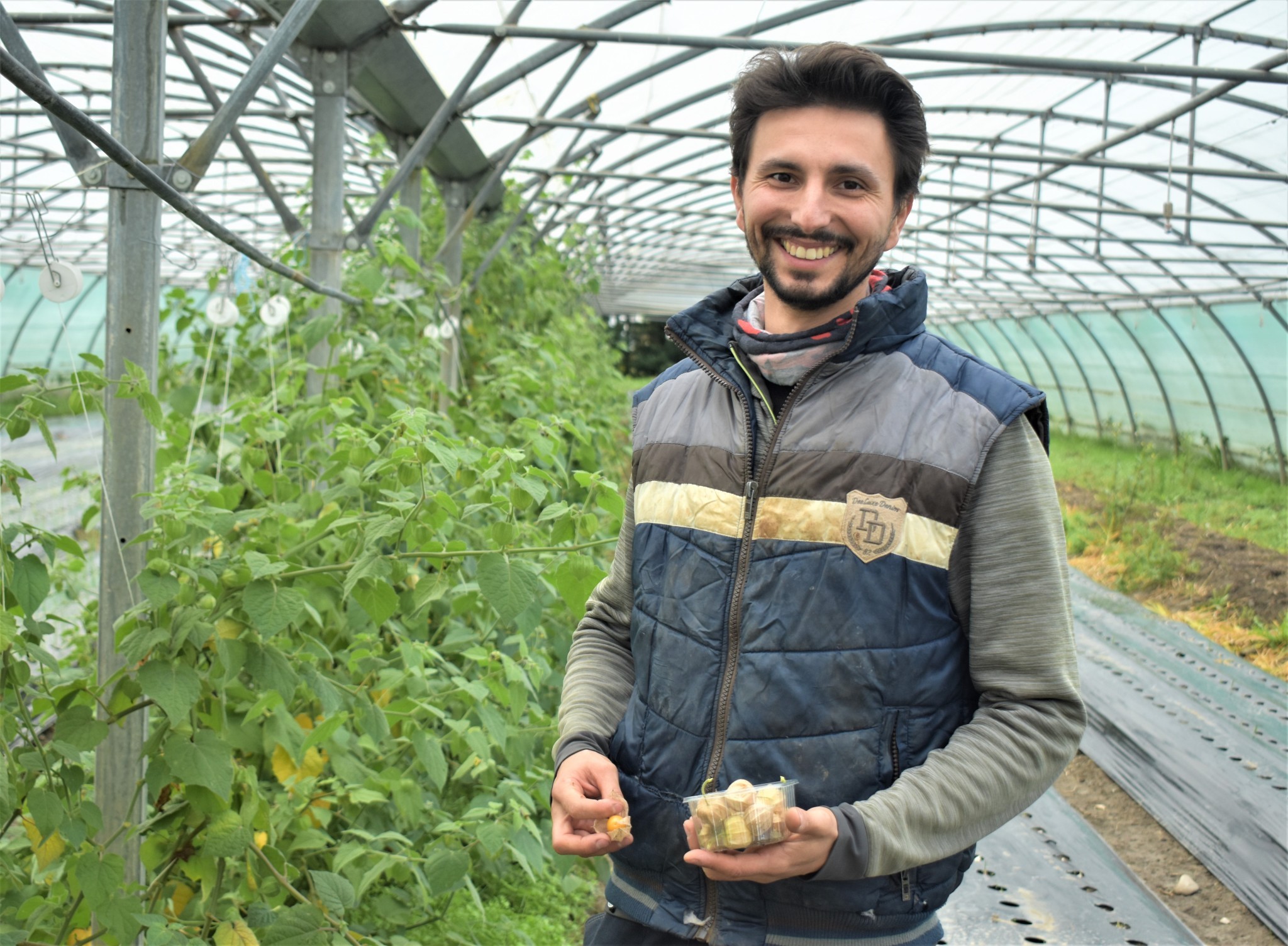 Le gingembre prend racine au Terreau