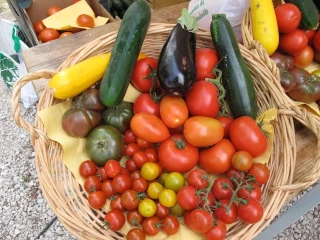 Ventes de fruits et légumes par les particuliers