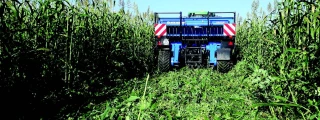 Le semis direct, une pratique courante en devenir ?