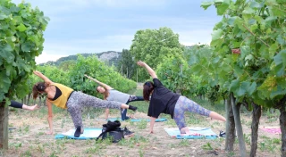 Le yoga dans les vignes pour faire entrer tous vos sens en ébullition ! 