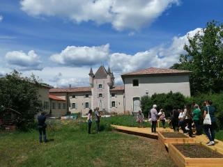 Les pollinisateurs, vedettes du Parc cet été