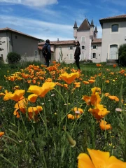 Covid-19 : Le tourisme culturel rural pourrait-il tirer son épingle du jeu ?