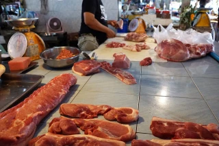 La production porcine montre des signes de stabilisation