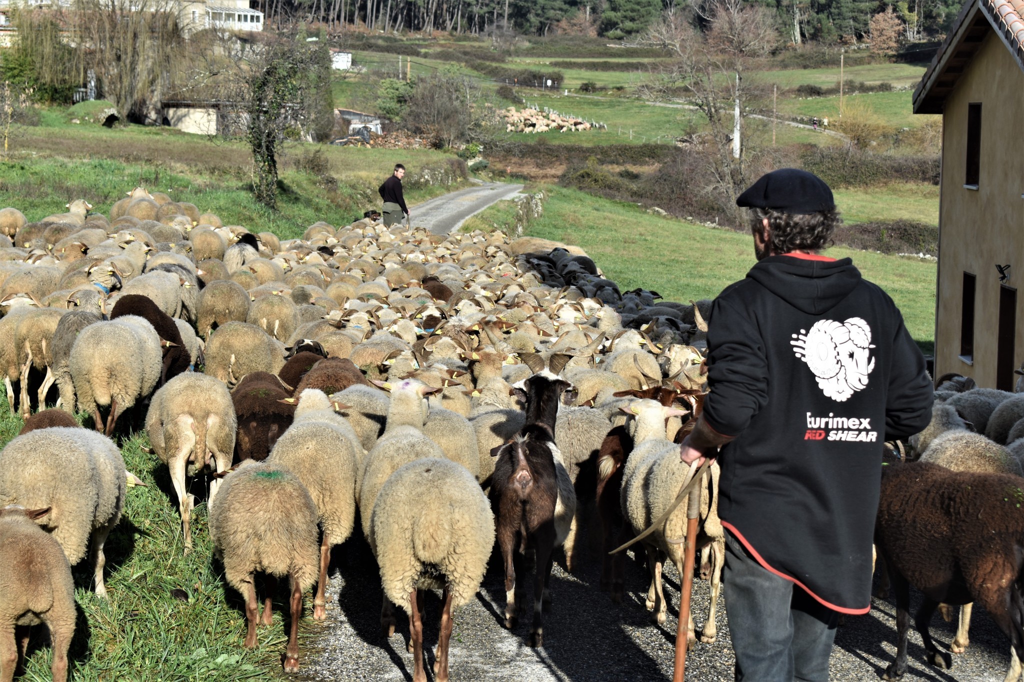 280 ha remis en pâturage !