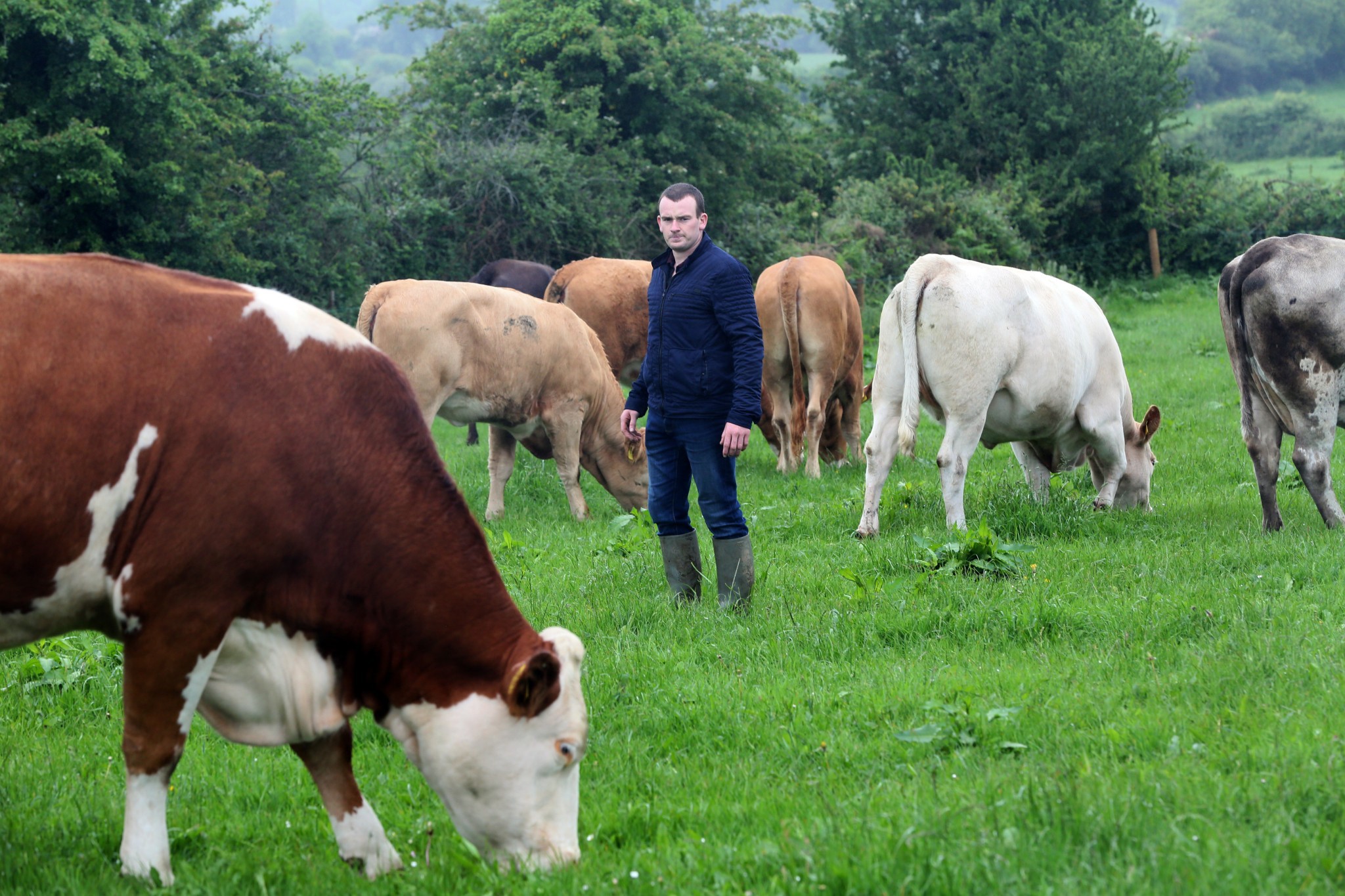 Une loi d’orientation et d’avenir agricole se prépare