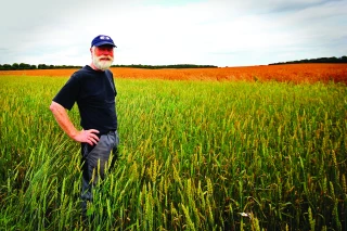 L’mpact de la réforme des retraites sur les non-salariés agricoles