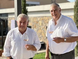 « L'oléiculture ne sauvera pas la viticulture »