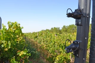 Entre promesses, limites et stratégies hybrides