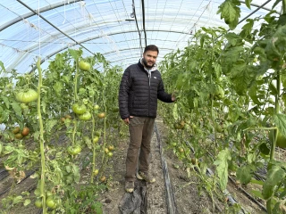 L’irrigation à l’ozone pour sauver les cultures ?