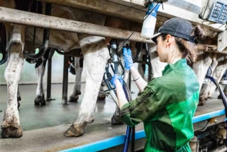 Attirer et fidéliser les éleveuses laitières